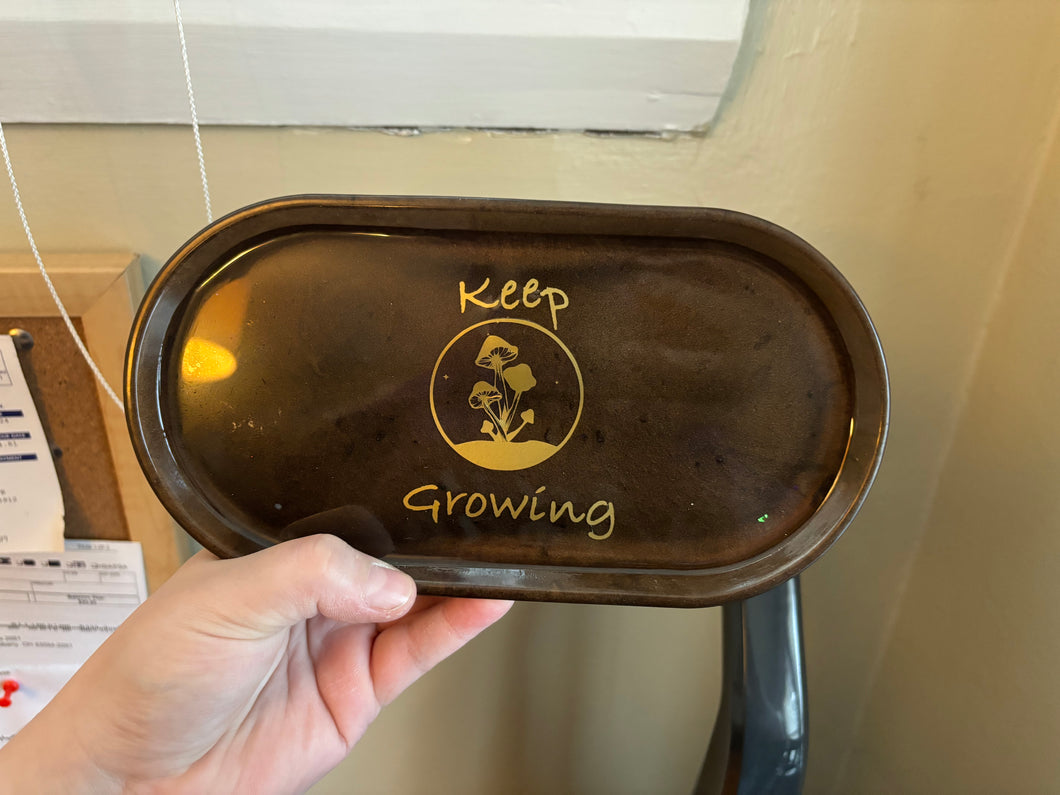 Earthy “Keep Growing” Mushroom Trinket Tray