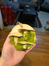 Load image into Gallery viewer, Wooden Mossy Mushroom Wall Art.
