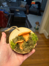 Load image into Gallery viewer, Wooden Mossy Mushroom Wall Art
