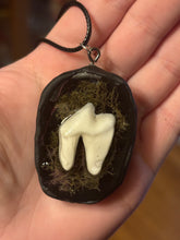 Load image into Gallery viewer, Coyote Tooth w/ Moss Necklace
