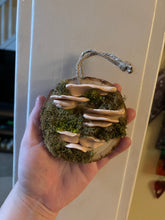 Load image into Gallery viewer, Wooden Mossy Mushroom Wall Art.
