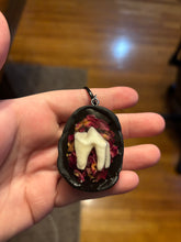 Load image into Gallery viewer, Coyote Tooth w/ Rose Petals Necklace
