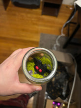 Load image into Gallery viewer, Mothman Terrarium Jar Buddy
