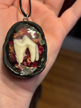 Load image into Gallery viewer, Coyote Tooth w/ Rose Petals Necklace
