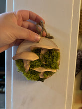 Load image into Gallery viewer, Wooden Mossy Mushroom Wall Art.
