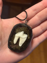 Load image into Gallery viewer, Coyote Tooth w/ Moss Necklace
