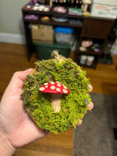 Load image into Gallery viewer, Wooden Mossy Mushroom Wall Art.
