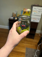 Load image into Gallery viewer, Mothman Terrarium Jar Buddy
