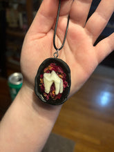 Load image into Gallery viewer, Coyote Tooth w/ Rose Petals Necklace
