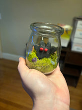 Load image into Gallery viewer, Mothman Terrarium Jar Buddy
