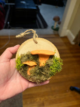 Load image into Gallery viewer, Wooden Mossy Mushroom Wall Art
