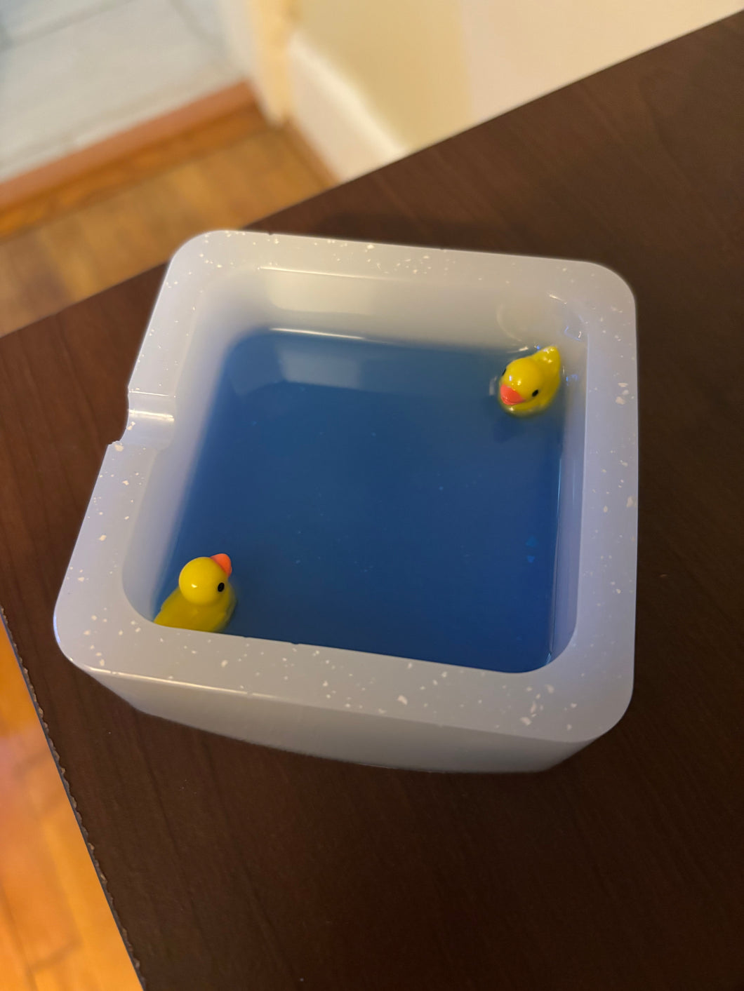 “Bathtub Fun” Trinket Dish