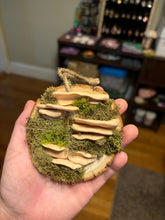 Load image into Gallery viewer, Wooden Mossy Mushroom Wall Art.
