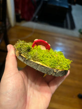 Load image into Gallery viewer, Wooden Mossy Mushroom Wall Art.
