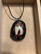 Load image into Gallery viewer, Coyote Tooth w/ Rose Petals Necklace
