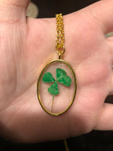 Load image into Gallery viewer, Resin 4 Leaf Clover Necklace
