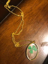 Load image into Gallery viewer, Resin 4 Leaf Clover Necklace
